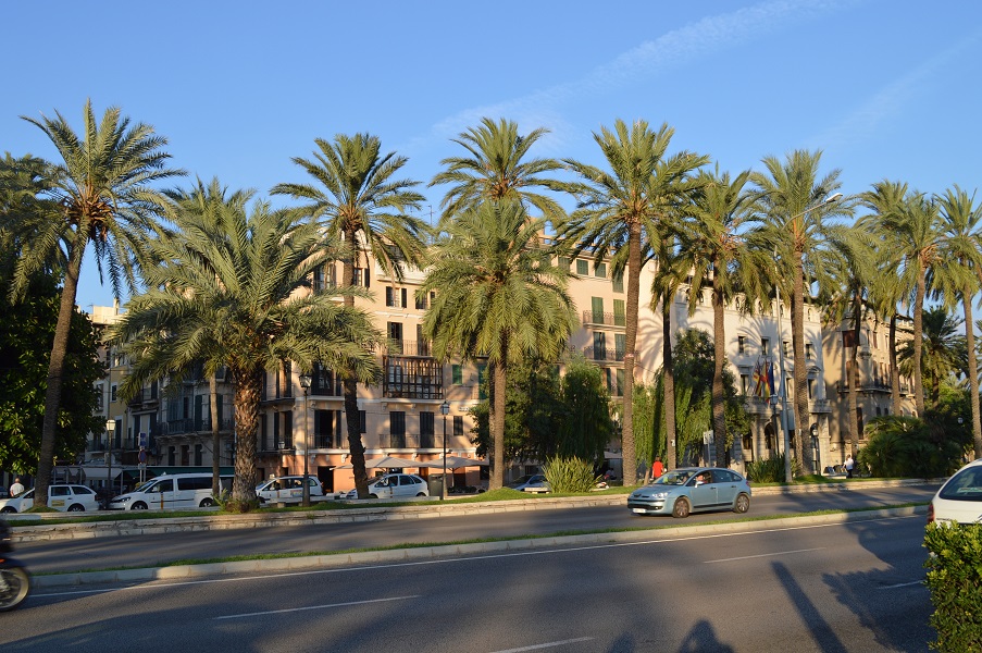 mallorca palma 5