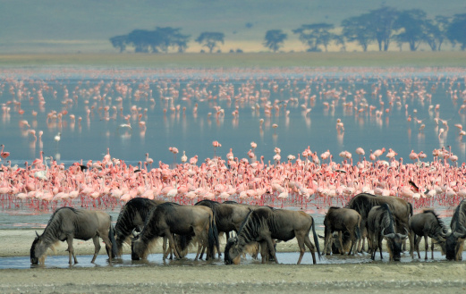 Tanzania, Ngorongoro scenery
