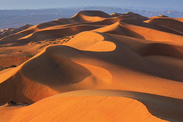 Morning light on the dunes of the Wahiba Sands, Sultanate of Oman