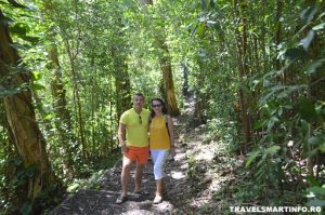 MAUI - Waikamoi Ridge Trail