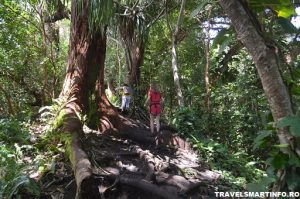 MAUI - Waikamoi Ridge Trail